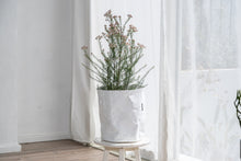 画像をギャラリービューアに読み込む, サステナブルな鉢カバー Re:af® (リーフ)