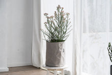 画像をギャラリービューアに読み込む, サステナブルな鉢カバー Re:af® (リーフ)