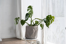 画像をギャラリービューアに読み込む, サステナブルな鉢カバー Re:af® (リーフ)