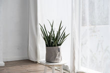 画像をギャラリービューアに読み込む, サステナブルな鉢カバー Re:af® (リーフ)