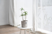 画像をギャラリービューアに読み込む, サステナブルな鉢カバー Re:af® (リーフ)