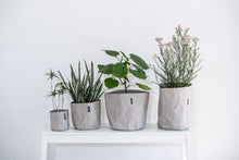 画像をギャラリービューアに読み込む, サステナブルな鉢カバー Re:af® (リーフ)