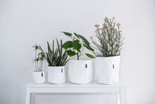 画像をギャラリービューアに読み込む, サステナブルな鉢カバー Re:af® (リーフ)