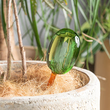 画像をギャラリービューアに読み込む, 【おしゃれな自動給水機】TWO TONE WATER DISPENSER《Lサイズ》 水やり器
