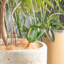 画像をギャラリービューアに読み込む, 【おしゃれな自動給水機】TWO TONE WATER DISPENSER《Lサイズ》 水やり器