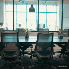 画像をギャラリービューアに読み込む, 【土を使わない観葉植物】暑さに強いテーブルプランツ キューブ (Table Plants CUBE)