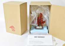 画像をギャラリービューアに読み込む, 【ドライ盆栽/DRY BONSAI®︎】 ミニ 赤