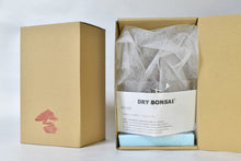 画像をギャラリービューアに読み込む, 【ドライ盆栽/DRY BONSAI®︎】ミニ 緑