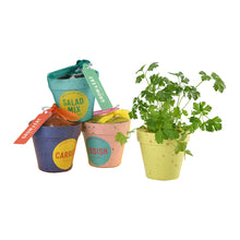 画像をギャラリービューアに読み込む, G&E 栽培セットフレッシュ