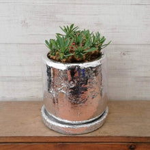 画像をギャラリービューアに読み込む, 【一点物】ユーフォルビア・峨眉山+DULTONポットセット 2.5号(シルバー)