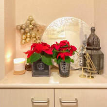 画像をギャラリービューアに読み込む, 【土を使わない観葉植物】Table Plants(テーブルプランツ) ポインセチア