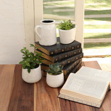 画像をギャラリービューアに読み込む, グレイズドポット ラウンド エス ホワイト Giazed pot Round White S