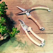 画像をギャラリービューアに読み込む, ラウンドヘッドプルナー Round Head Pruner