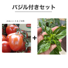 画像をギャラリービューアに読み込む, トマトソースやトマト料理に使えるイタリアントマト