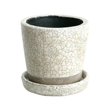 画像をギャラリービューアに読み込む, カラー グレイズド ポットM | COLOR GLAZED POT M(3号鉢:全10色)