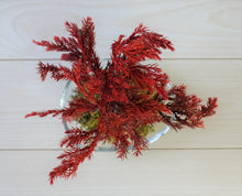 画像をギャラリービューアに読み込む, ドライ盆栽® 赤 模様木 枯れ盆栽