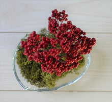 画像をギャラリービューアに読み込む, 【ドライ盆栽®】赤実