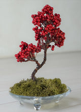 画像をギャラリービューアに読み込む, 【ドライ盆栽®】赤実