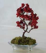 画像をギャラリービューアに読み込む, 【ドライ盆栽®】赤実