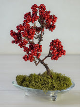 画像をギャラリービューアに読み込む, 【ドライ盆栽®】赤実