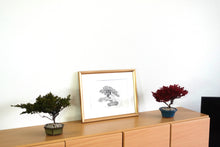 画像をギャラリービューアに読み込む, ドライ盆栽® 紅 鉢入り