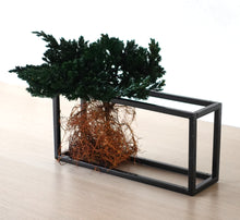 画像をギャラリービューアに読み込む, ドライ盆栽® グリーン フレーム飾り 枯れ盆栽