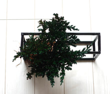 画像をギャラリービューアに読み込む, ドライ盆栽® グリーン フレーム飾り 枯れ盆栽