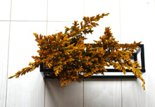 画像をギャラリービューアに読み込む, ドライ盆栽® 黄色 フレーム飾り 枯れ盆栽