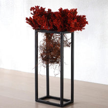 画像をギャラリービューアに読み込む, ドライ盆栽® 紅 フレーム飾り 枯れ盆栽