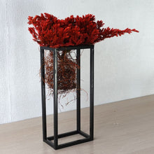 画像をギャラリービューアに読み込む, ドライ盆栽® 紅 フレーム飾り 枯れ盆栽