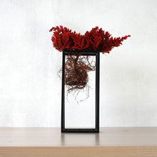 画像をギャラリービューアに読み込む, ドライ盆栽® 紅 フレーム飾り 枯れ盆栽