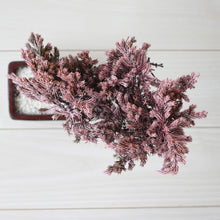 画像をギャラリービューアに読み込む, ドライ盆栽® 桜色 鉢入り