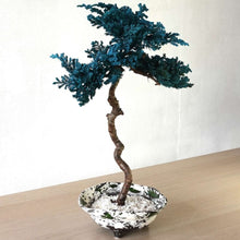 画像をギャラリービューアに読み込む, 【一点物】ドライ盆栽® 孔雀 有田焼鉢