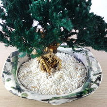 画像をギャラリービューアに読み込む, 【一点物】ドライ盆栽® 緑 富士 有田焼鉢