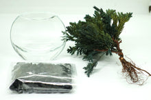 画像をギャラリービューアに読み込む, ドライ盆栽®ミニミニキット 緑