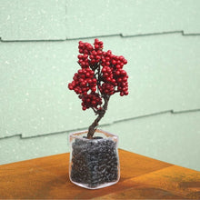画像をギャラリービューアに読み込む, ドライ盆栽®ミニミニキット 赤実