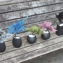 画像をギャラリービューアに読み込む, ドライ盆栽® 黄緑色 黒陶器 枯れ盆栽