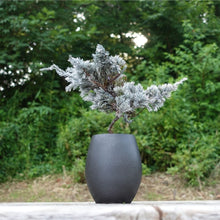 画像をギャラリービューアに読み込む, ドライ盆栽® ホワイト 黒陶器 枯れ盆栽
