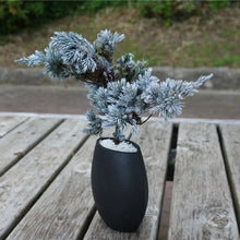 画像をギャラリービューアに読み込む, ドライ盆栽® ホワイト 黒陶器 枯れ盆栽