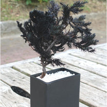 画像をギャラリービューアに読み込む, ドライ盆栽® ブラック 黒陶器 枯れ盆栽