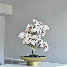 画像をギャラリービューアに読み込む, 【一点物】桜のドライ盆栽® 「祝」 金石目調塗り 枯れ盆栽 ※桜の花はフェイクフラワーです