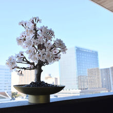 画像をギャラリービューアに読み込む, 【一点物】桜のドライ盆栽® 「祝」 金石目調塗り 枯れ盆栽 ※桜の花はフェイクフラワーです