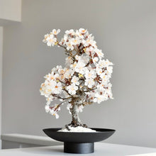 画像をギャラリービューアに読み込む, 【一点物】桜のドライ盆栽® 「祝」 黒石目調塗り 枯れ盆栽 ※桜の花はフェイクフラワーです
