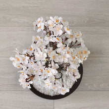 画像をギャラリービューアに読み込む, 【一点物】桜のドライ盆栽® 「祝」 黒石目調塗り 枯れ盆栽 ※桜の花はフェイクフラワーです