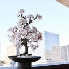 画像をギャラリービューアに読み込む, 【一点物】桜のドライ盆栽® 「祝」 黒石目調塗り 枯れ盆栽 ※桜の花はフェイクフラワーです