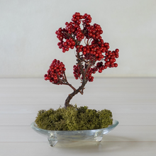 画像をギャラリービューアに読み込む, 【ドライ盆栽®】赤実