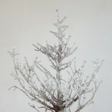 画像をギャラリービューアに読み込む, ドライ盆栽® シルバー 鉢入り 枯れ盆栽