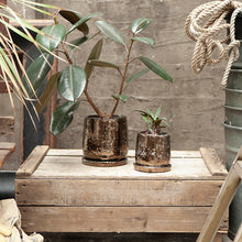 画像をギャラリービューアに読み込む, ラウンドポット | ROUND POT