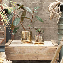 画像をギャラリービューアに読み込む, ラウンドポット | ROUND POT