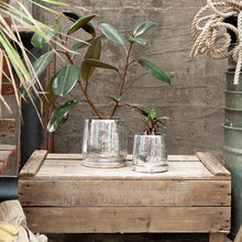 画像をギャラリービューアに読み込む, ラウンドポット | ROUND POT